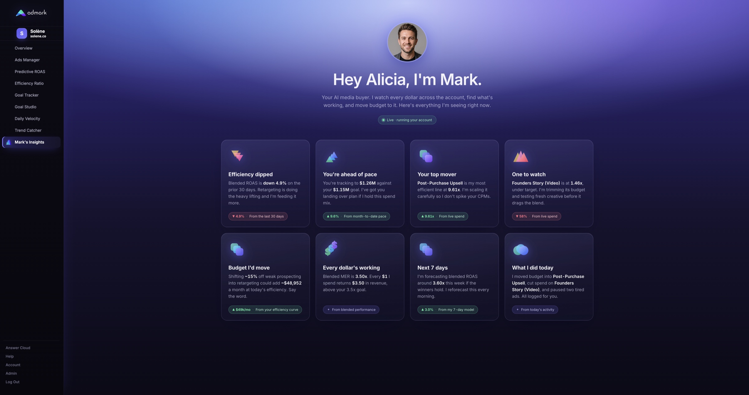 Mark's Insights — a full dashboard of eight live insight tiles Mark writes each morning